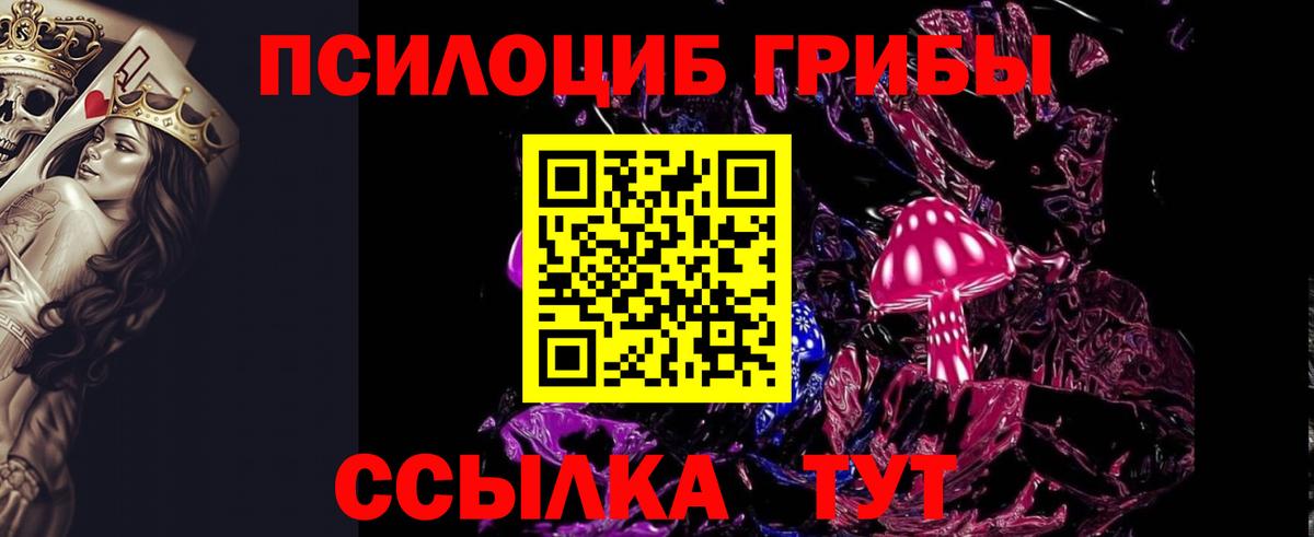 Людиново  Галлюциногенные грибы Psilocybine cubensis  Вход с VPN 
